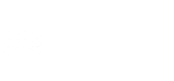 Spinal Elements
